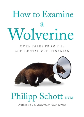 Book cover for How To Examine A Wolverine