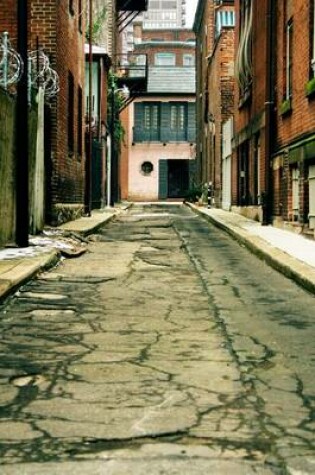 Cover of Back Alley in Philadelphia Pennsylvania Journal