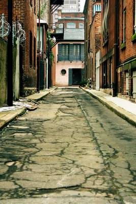 Book cover for Back Alley in Philadelphia Pennsylvania Journal