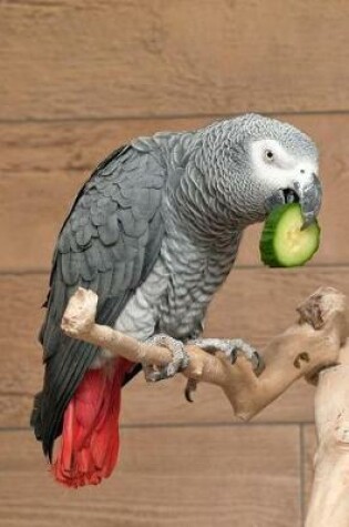 Cover of African Gray Parrot Notebook