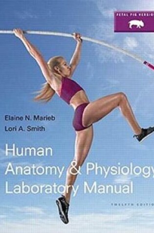 Cover of Human Anatomy & Physiology Laboratory Manual, Fetal Pig Version, Books a la Carte Edition (Valuepack Only)