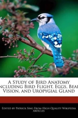 Cover of A Study of Bird Anatomy Including Bird Flight, Eggs, Beak, Vision, and Uropygial Gland