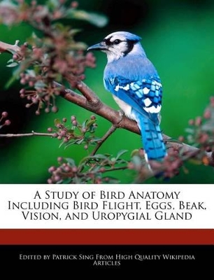 Book cover for A Study of Bird Anatomy Including Bird Flight, Eggs, Beak, Vision, and Uropygial Gland