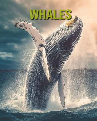 Book cover for Whales