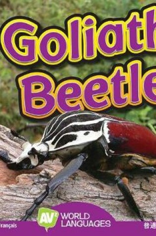 Cover of Goliath Beetles