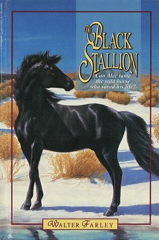 Cover of The Black Stallion