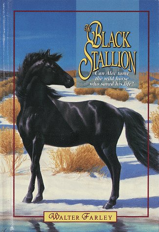 Book cover for The Black Stallion