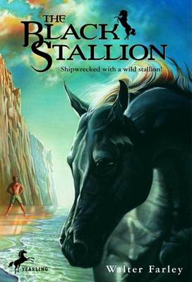 Book cover for Black Stallion