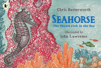 Book cover for Seahorse