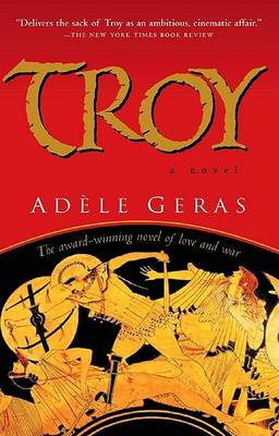 Book cover for Troy