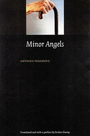 Cover of Minor Angels