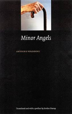 Book cover for Minor Angels