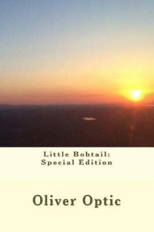 Cover of Little Bobtail