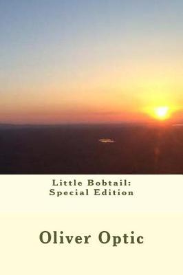 Book cover for Little Bobtail