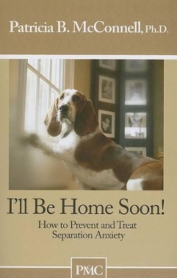 Book cover for I'll Be Home Soon