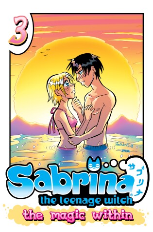 Cover of Sabrina the Teenage Witch: The Magic Within 3