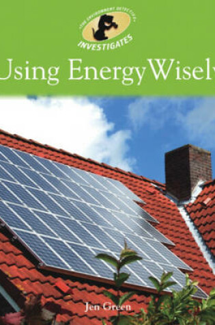 Cover of Using Energy Wisely