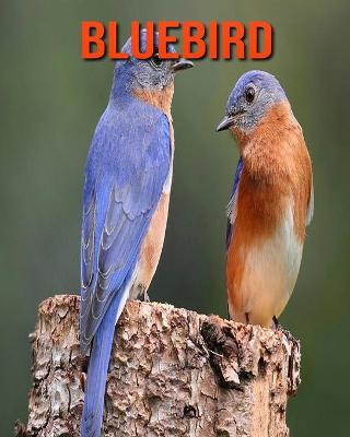 Book cover for Bluebird