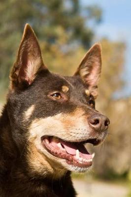 Book cover for The Working Kelpie Dog Journal