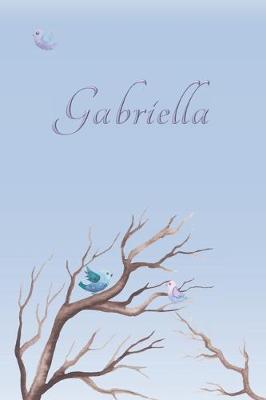 Book cover for Gabriella
