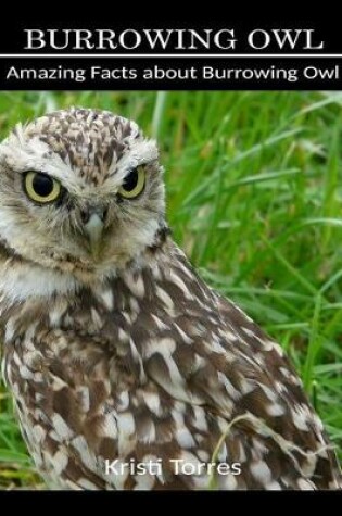 Cover of Amazing Facts about Burrowing Owl