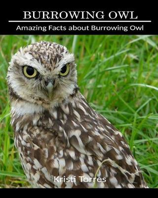 Book cover for Amazing Facts about Burrowing Owl