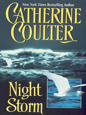 Book cover for Night Storm