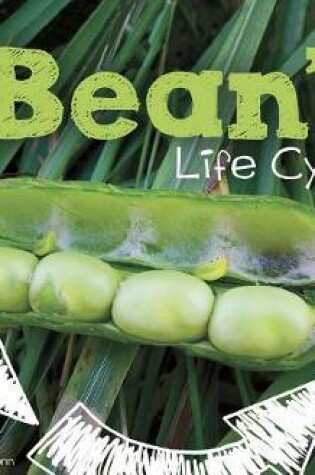 Cover of Explore Life Cycles Beans Life Cycle