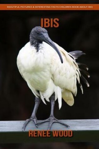 Cover of Ibis