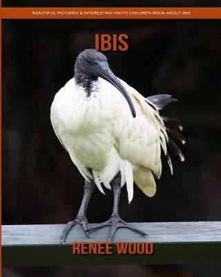 Book cover for Ibis