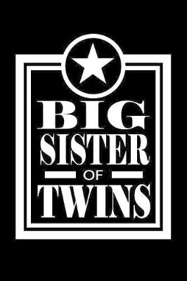 Book cover for Big Sister Of Twins