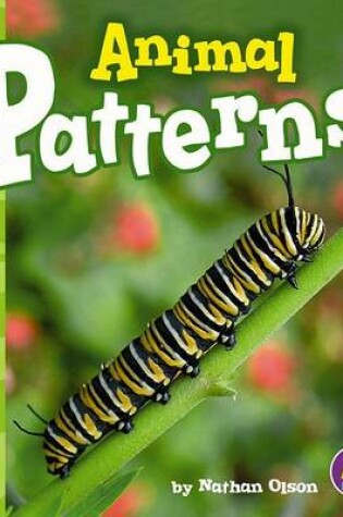 Cover of Animal Patterns