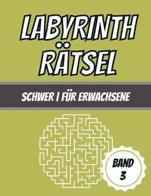 Cover of Labyrinth Ratsel