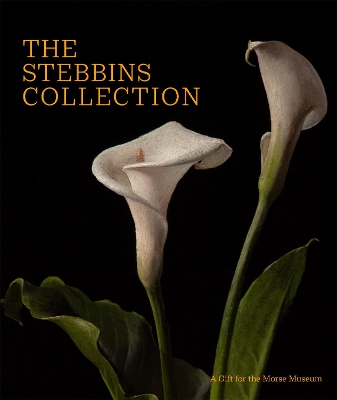 Cover of The Stebbins Collection