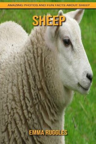 Cover of Sheep