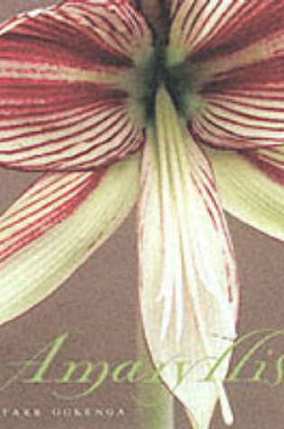 Cover of Amaryllis