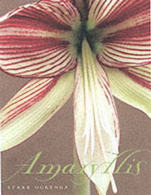 Book cover for Amaryllis