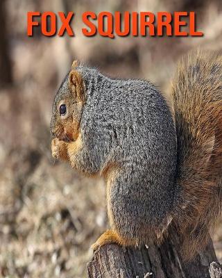 Book cover for Fox Squirrel