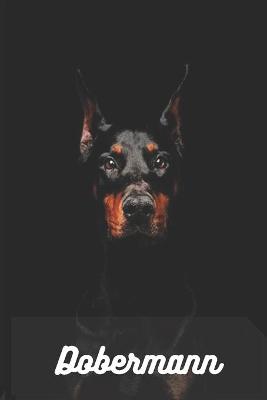 Book cover for Dobermann