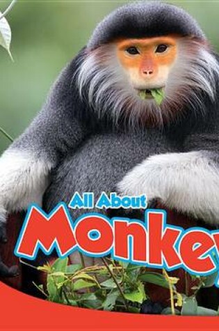 Cover of All about Monkeys