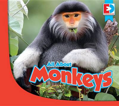 Cover of All about Monkeys