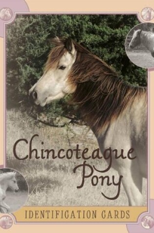 Cover of Chincoteague Pony Identification Cards: Set 2