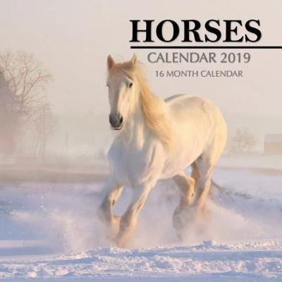 Book cover for Horses Calendar 2019