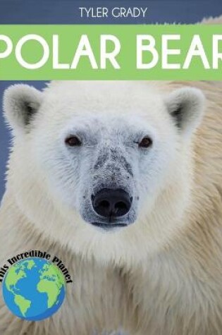 Cover of Polar Bear