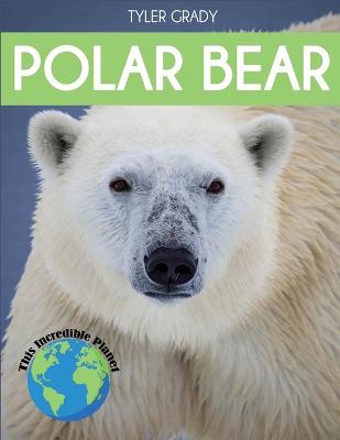 Book cover for Polar Bear