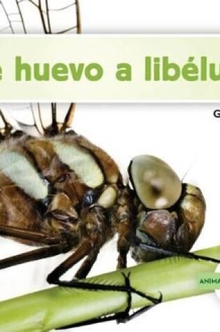 Cover of de Huevo a Libélula (Becoming a Dragonfly) (Spanish Version)