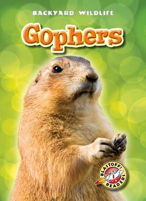 Book cover for Gophers