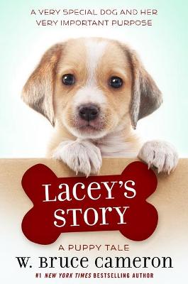 Book cover for Lacey's Story