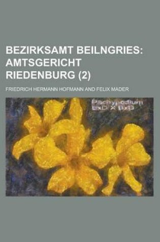 Cover of Bezirksamt Beilngries (2)