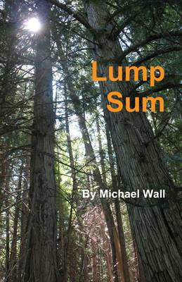 Book cover for Lump Sum